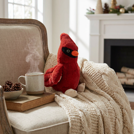 Recordable 16 inch Cardinal plush