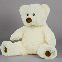 Recordable 16 inch Teddy - White Twist plush