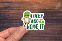 ST Patricks Day 10 Piece Waterproof STICKER PACK for Laptops, Water Bottles, Notebooks, Journals and more