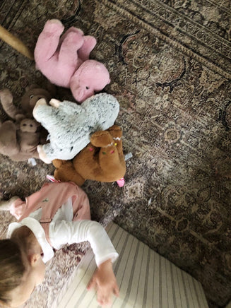 Recordable Hippo Plush 16" — Personalized Gift