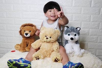 Weighted Lion Plushie, 16" Sensory Comfort Toy