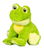 Recordable FROG Stuffed Animal — Personalized Gift — Eco Friendly