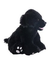 Black Lab 16-inch Stuffed Animal DIY Plush Kit