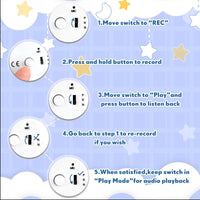 Recordable Chicken Plush, 16 in Personalized