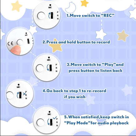 Recordable Chicken Plush, 16 in Personalized