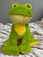 Recordable FROG Stuffed Animal — Personalized Gift — Eco Friendly