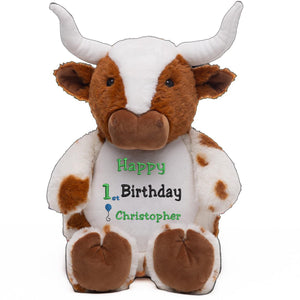 Personalized Embroidered BIRTHDAY BOY Plushie — Custom Name Teddy, First Birthday Gift for Boy, Baby Shower Keepsake