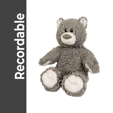 Recordable TEDDY BEAR Stuffed Animal — Personalized Gift — Eco Friendly