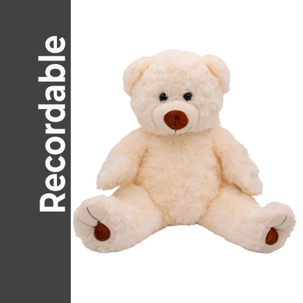 Recordable TEDDY BEAR Stuffed Animal — Personalized Gift — Eco Friendly