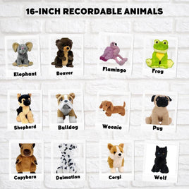 16-inch recordable stuffed animals, including an elephant, a beaver, a flamingo, a frog, a dog, a cat, a shepherd, a bulldog, a weenie, a pug, a wolf, a corgi, and a capybara.