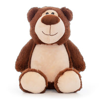 A brown plush teddy bear sitting on a white background.