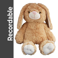 A brown plush bunny toy with white paws and ears, sitting on a white background.