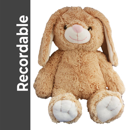 A brown plush bunny toy with white paws and ears, sitting on a white background.