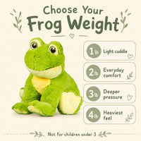 a green stuffed frog toy with a list of different weight options for it, along with a description of each weight option.