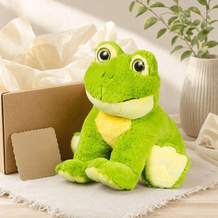 A green plush frog toy sits on a white cloth, surrounded by a cardboard box, a card, and a potted plant.