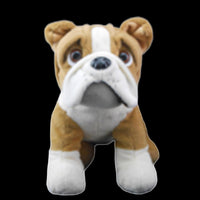 A stuffed toy dog with a brown and white color pattern and a sad expression.
