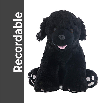 A black stuffed dog toy with white paw prints, sitting on a white background.