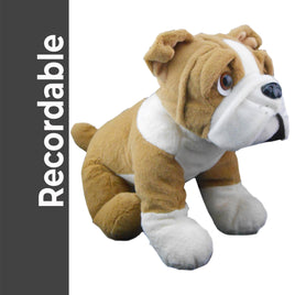 A brown and white stuffed dog toy is sitting on a white background.