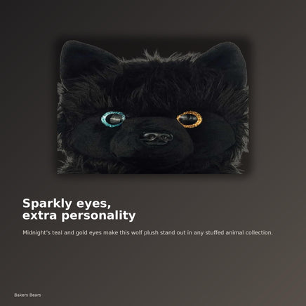 A close-up of a black plush toy with large, colorful eyes, described as having a teal and gold eye color.