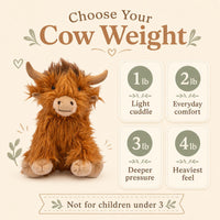 a stuffed animal cow with text providing information about its weight and comfort.