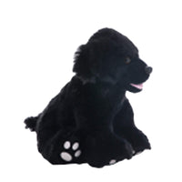 A black dog stuffed animal sitting on a white background.