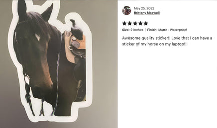 A sticker of a horse on a laptop, with a rating and comment from a user named Brittany Maxwell.