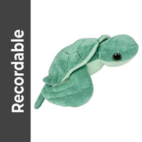 A green plush sea turtle toy is shown against a white background.