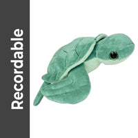 A green plush sea turtle toy is shown against a white background.