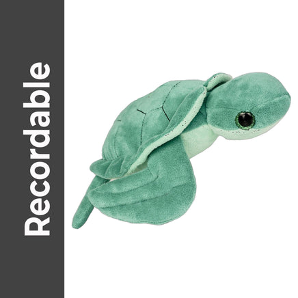 A green plush sea turtle toy is shown against a white background.