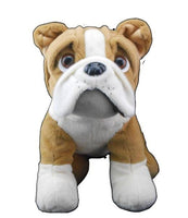A stuffed toy dog with a brown and white color pattern and large, expressive eyes.