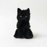A black plush toy dog with large, expressive eyes sits on a white background.