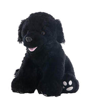 A black dog stuffed animal sitting on a white background.