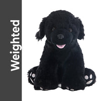A black stuffed dog toy is sitting on a white background, with the word "Weighted" written vertically on the left side.