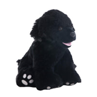 A black dog stuffed animal sitting on a white background.