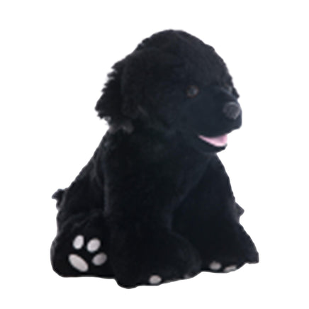 A black dog stuffed animal sitting on a white background.