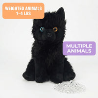 A black stuffed animal dog with large eyes sits on a white background, accompanied by a pile of clear beads.