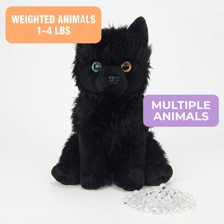 A black stuffed animal dog with large eyes sits on a white background, accompanied by a pile of clear beads.