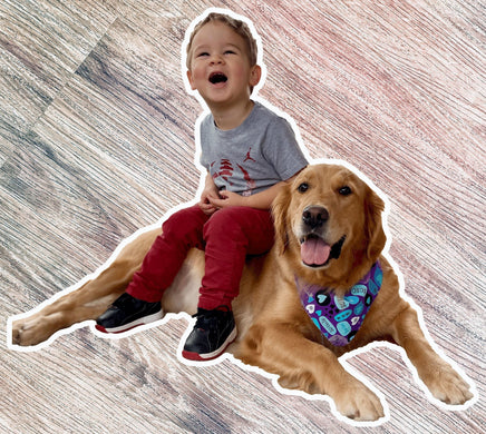 A young boy in a gray shirt and red pants is sitting on a golden retriever dog, both appearing happy and relaxed.