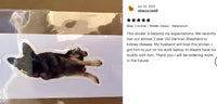 The image is a collage of two photos. The left photo shows a sticker of a German Shepherd dog lying down, while the right photo is a text box with a rating and a description of the sticker.