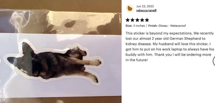 The image is a collage of two photos. The left photo shows a sticker of a German Shepherd dog lying down, while the right photo is a text box with a rating and a description of the sticker.