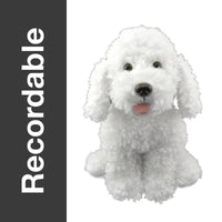 Recordable white poodle plush option, 16 inch curly stuffed dog with a hidden voice recorder pocket