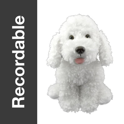 Recordable white poodle plush option, 16 inch curly stuffed dog with a hidden voice recorder pocket