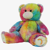 Rainbow Teddy 16in DIY Stuffed Animal Kit