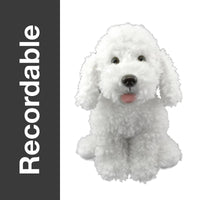 Recordable white poodle plush, 16 inch stuffed animal with curly fur and a hidden voice recorder pocket