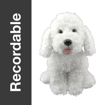 Recordable white poodle plush, 16 inch stuffed animal with curly fur and a hidden voice recorder pocket
